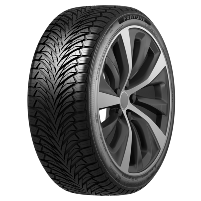 Fortune 185/65R14 86H Fitclime FSR-401 TL